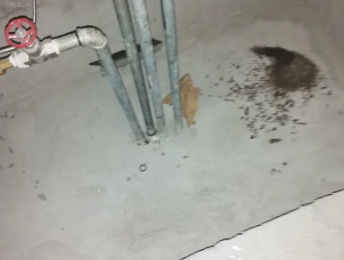 罗山卫生间测漏水价格明细