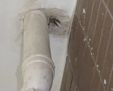 罗山漏水检测哪家好